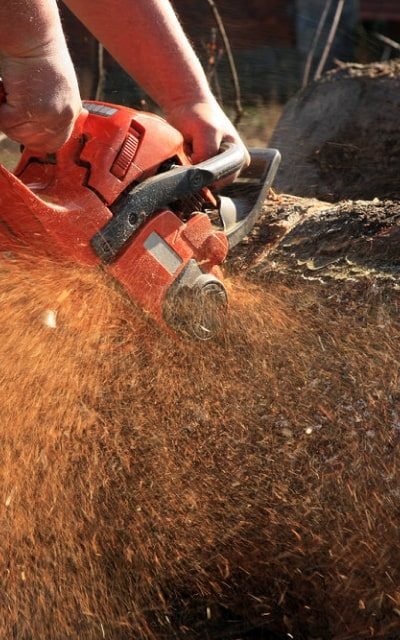 tools-img-saw-1 tools-img-saw-1